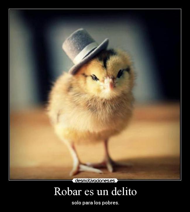 Robar es un delito - 