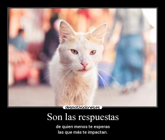 Son las respuestas - 