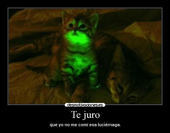 Te juro - que yo no me comí esa luciérnaga.