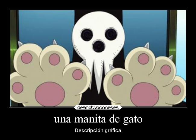 una manita de gato - Descripción gráfica