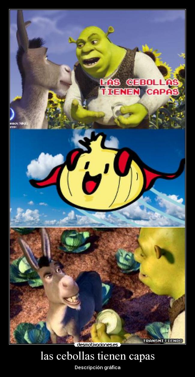 las cebollas tienen capas - Descripción gráfica