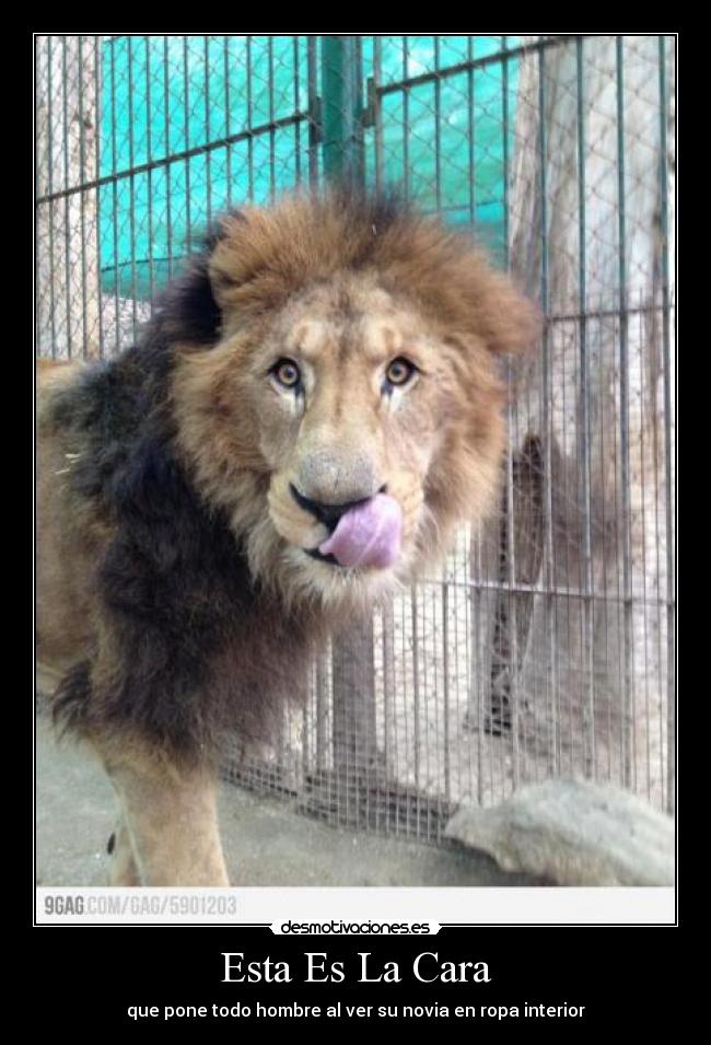 Esta Es La Cara - que pone todo hombre al ver su novia en ropa interior