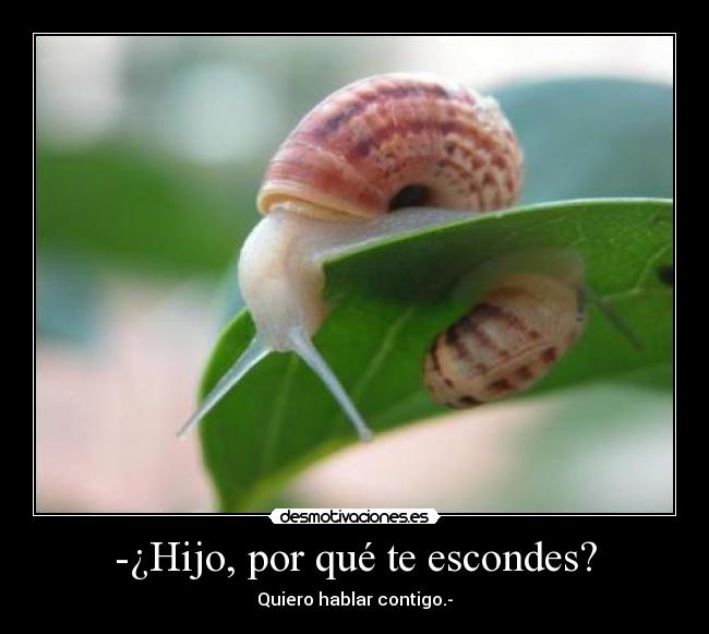-¿Hijo, por qué te escondes? - Quiero hablar contigo.-