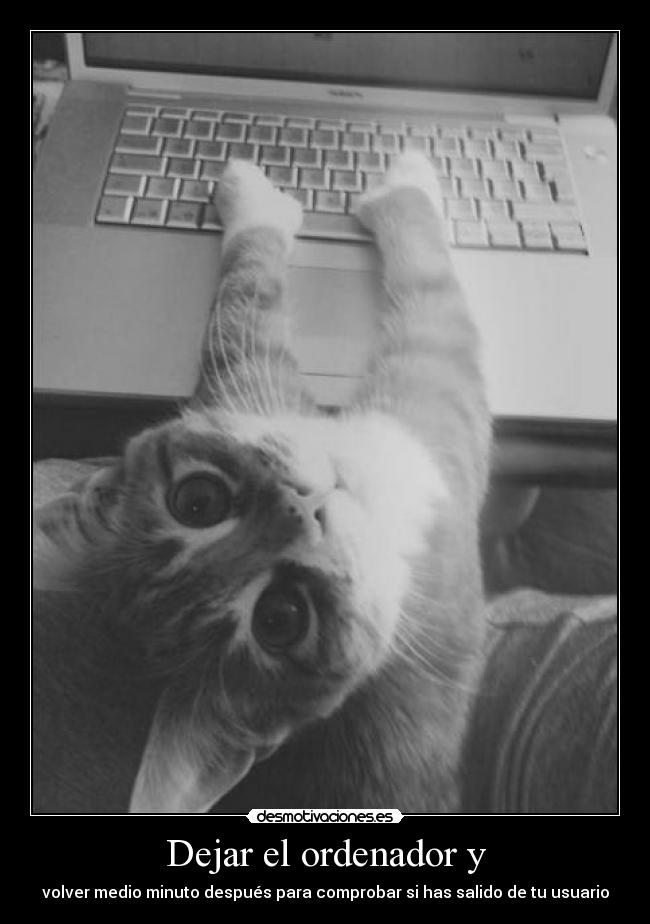 Dejar el ordenador y -