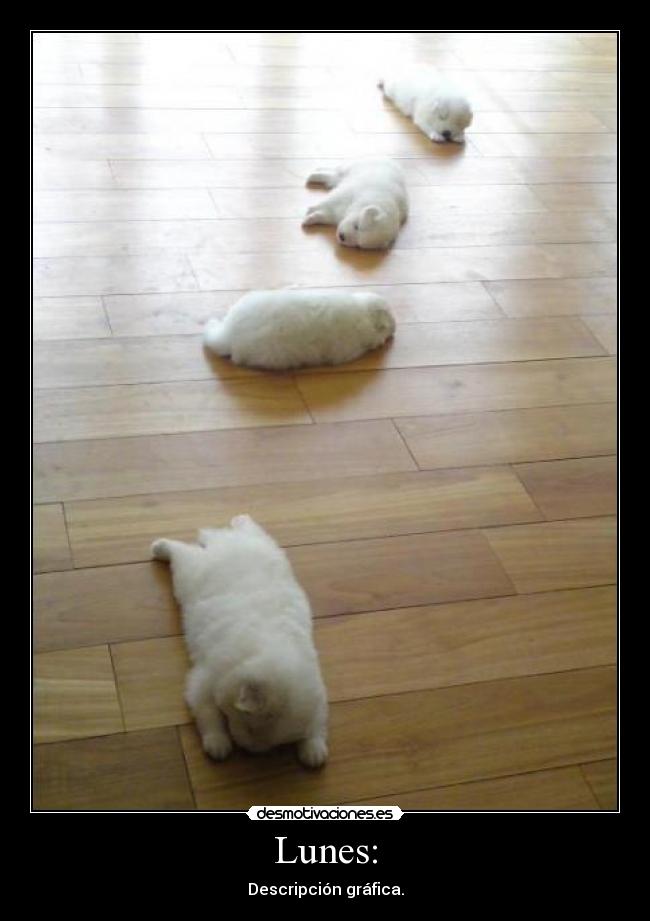 Lunes: - Descripción gráfica.