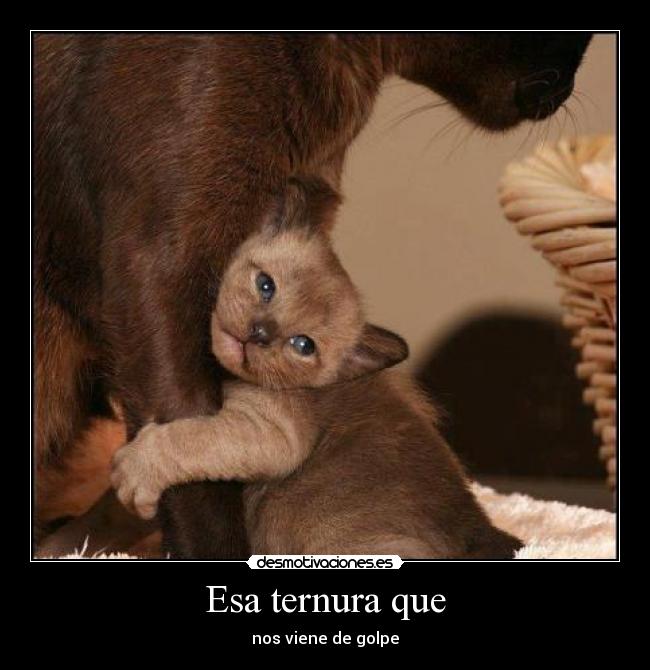 carteles jhv desmotivaciones