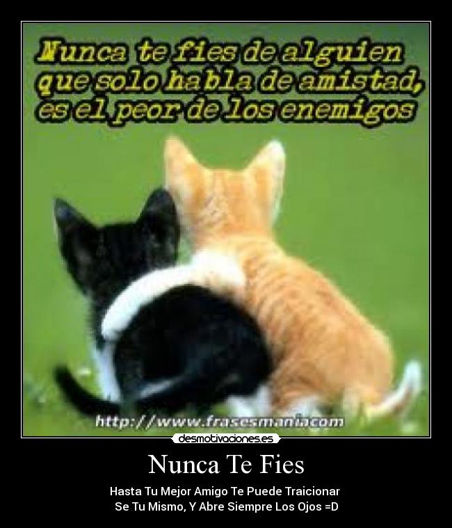 Nunca Te Fies -