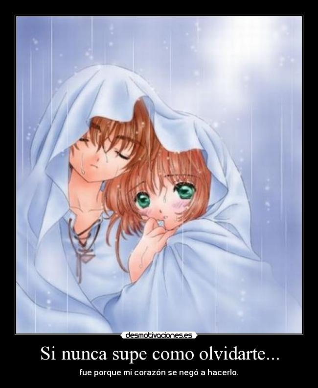Si nunca supe como olvidarte... - fue porque mi corazón se negó a hacerlo.
