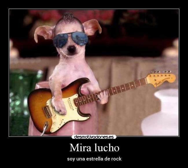 Mira lucho -