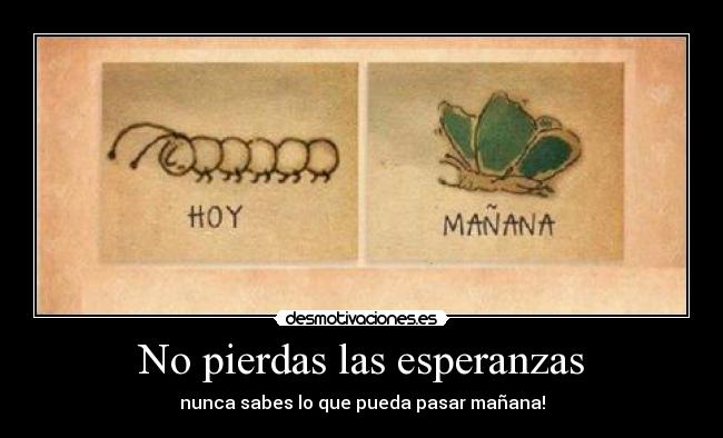 No pierdas las esperanzas - nunca sabes lo que pueda pasar mañana!