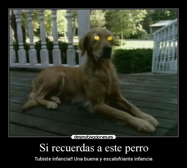 Si recuerdas a este perro - Tubiste infancia!! Una buena y escalofriante infancia