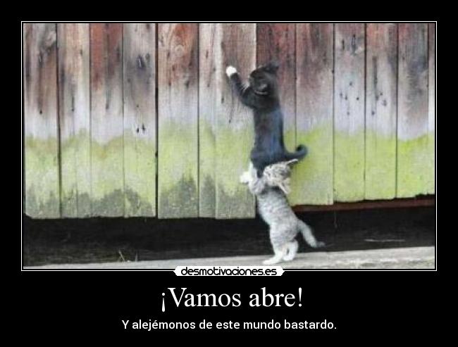 ¡Vamos abre! - Y alejémonos de este mundo bastardo.