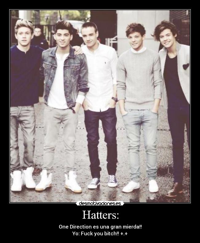 Hatters: - One Direction es una gran mierda!!
Yo: Fuck you bitch!! +.+