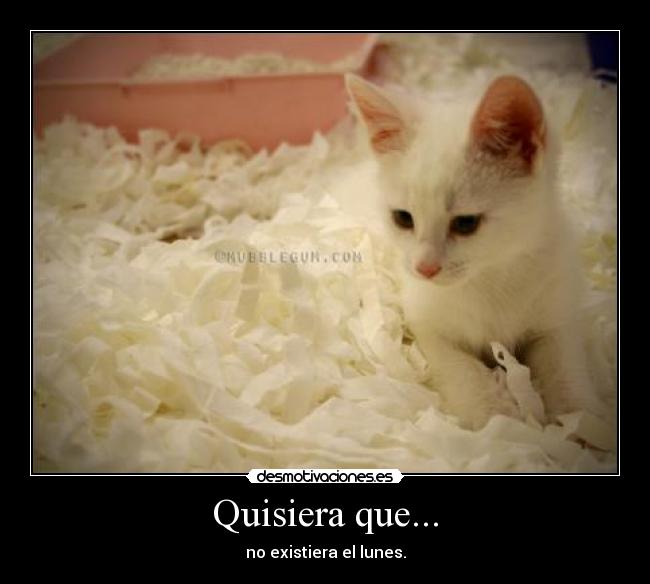 Quisiera que... - no existiera el lunes.