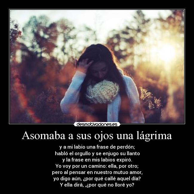 Asomaba a sus ojos una lágrima - y a mi labio una frase de perdón;
habló el orgullo y se enjugo su llanto
y la frase en mis labios expiró.
Yo voy por un camino: ella, por otro;
pero al pensar en nuestro mutuo amor,
yo digo aún, ¿por qué callé aquel día?
Y ella dirá, ,¿por qué no lloré yo?