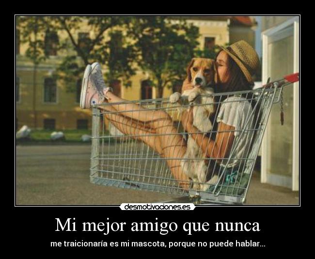 Mi mejor amigo que nunca - me traicionaría es mi mascota, porque no puede hablar...