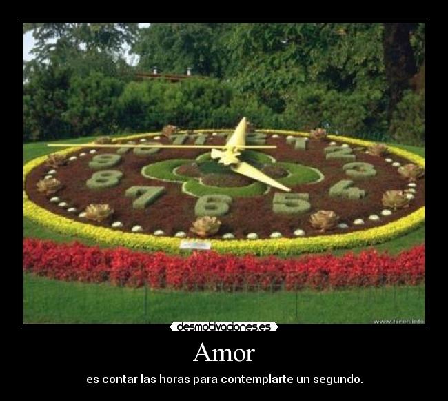 Amor - 