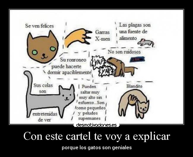 carteles voy explicar desmotivaciones