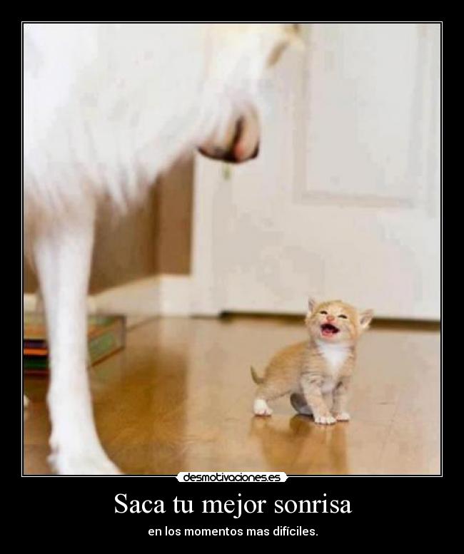 Saca tu mejor sonrisa - en los momentos mas difíciles.