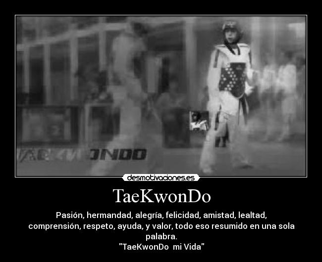 carteles taekwondo desmotivaciones