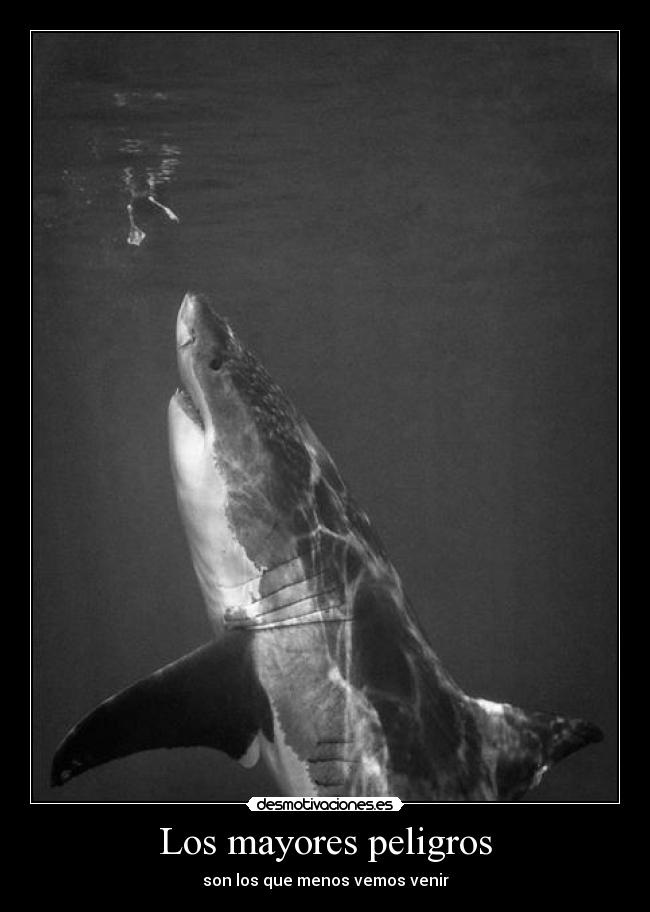 Los mayores peligros - 