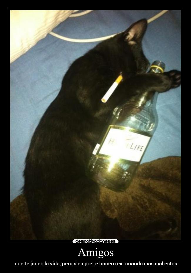 Amigos - que te joden la vida, pero siempre te hacen reír cuando mas mal estas