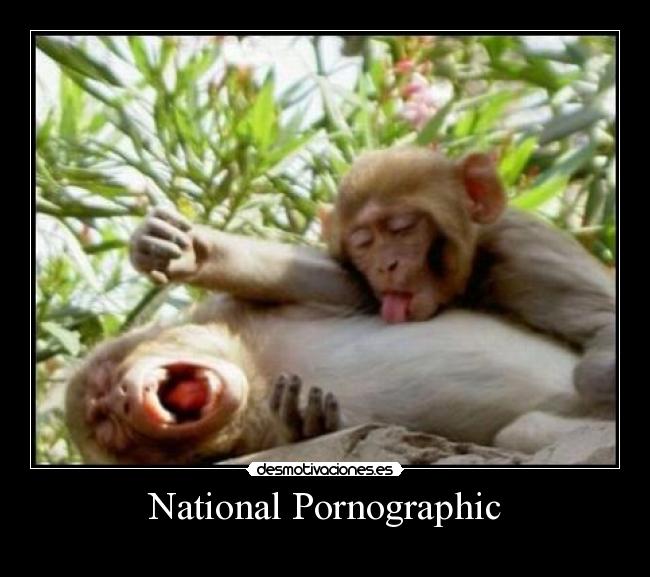 National Pornographic - 