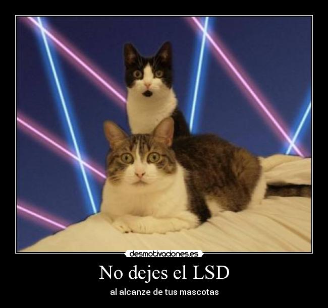 No dejes el LSD - al alcanze de tus mascotas