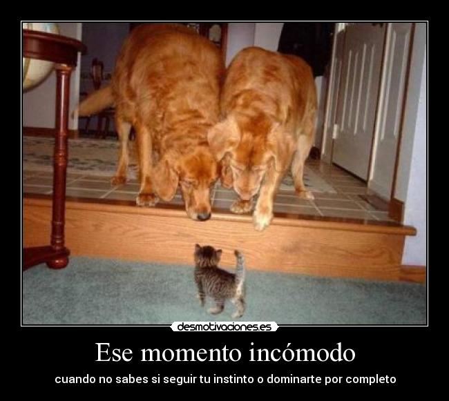 Ese momento incómodo - cuando no sabes si seguir tu instinto o dominarte por completo