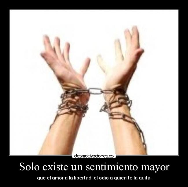 carteles libertad desmotivaciones