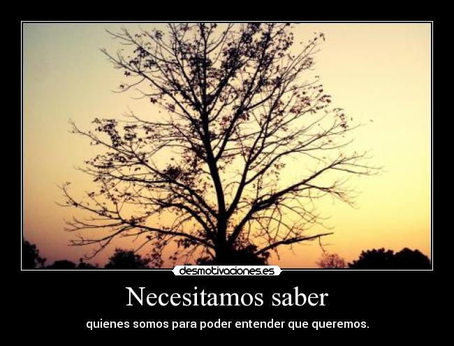 Necesitamos saber - 