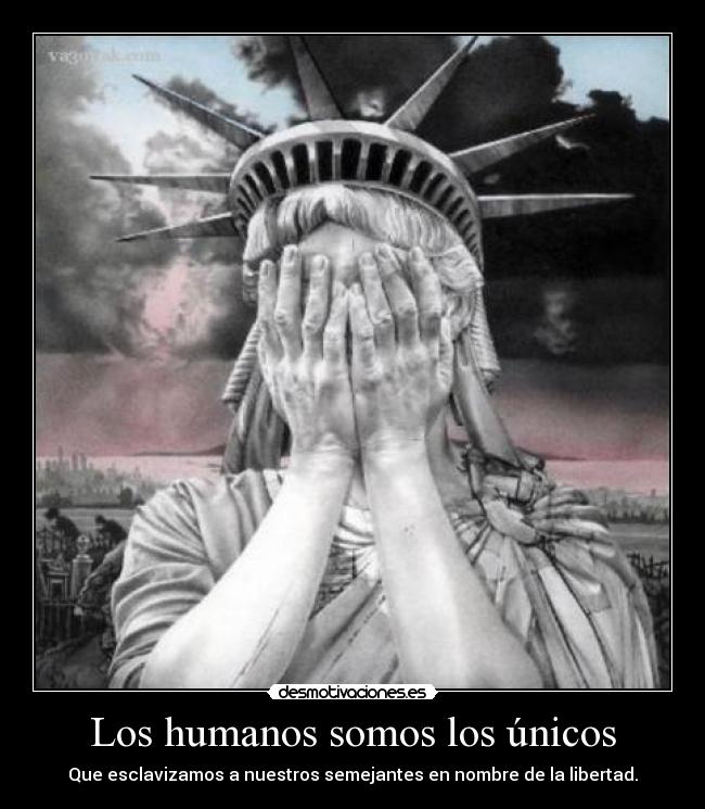 Los humanos somos los únicos - 