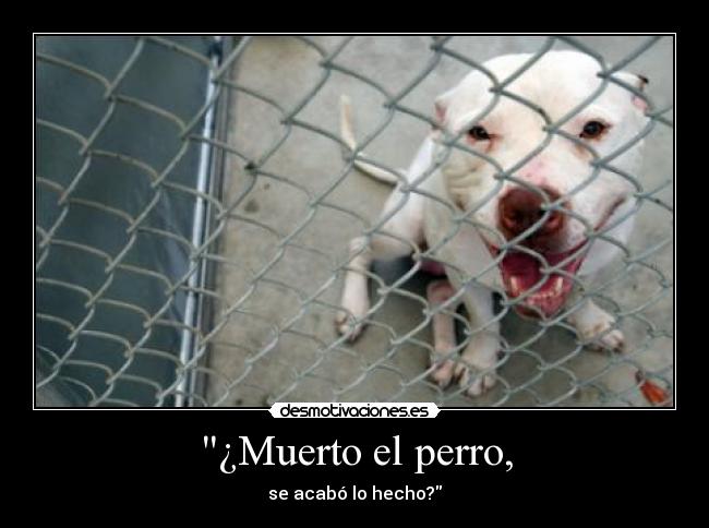 ¿Muerto el perro, - se acabó lo hecho?