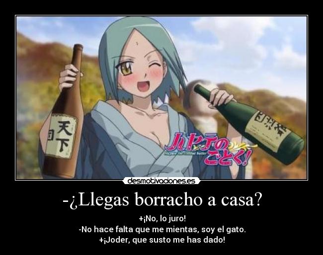 -¿Llegas borracho a casa? - 