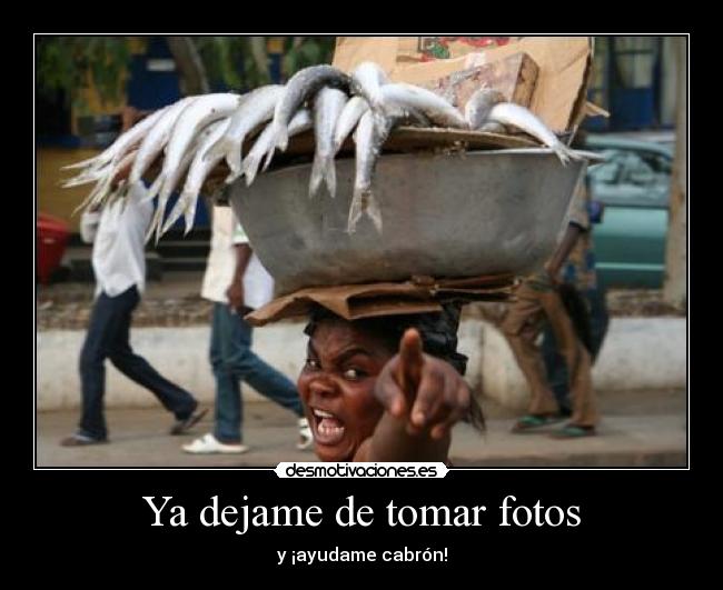 Ya dejame de tomar fotos -