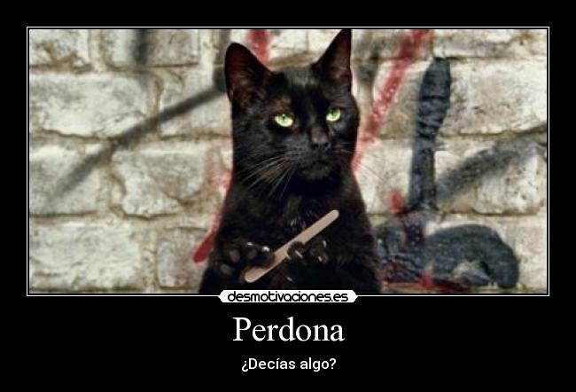 Perdona -