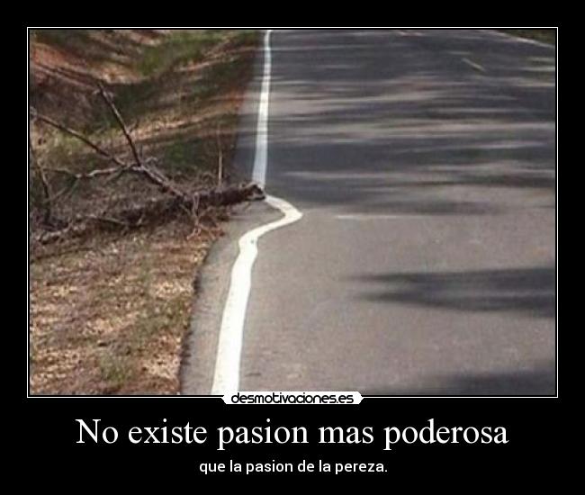 No existe pasion mas poderosa - que la pasion de la pereza.