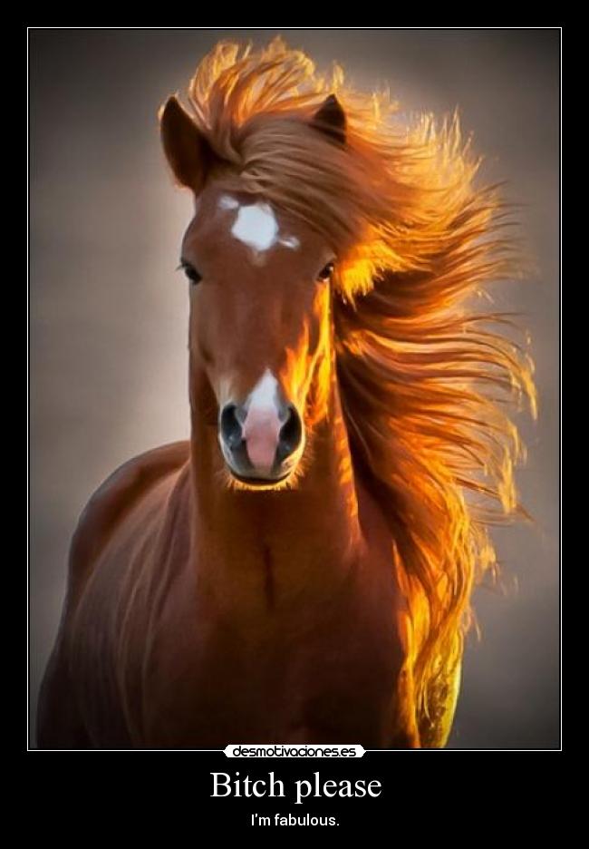 Bitch please - Im fabulous.