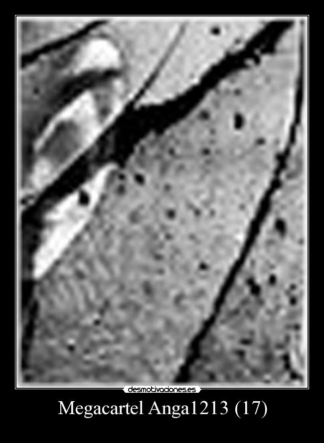 Megacartel Anga1213 (17) -