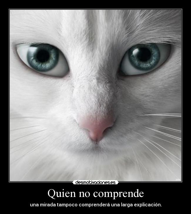 carteles ojos mirada fede28 cartel nuevamente cola desmotivaciones