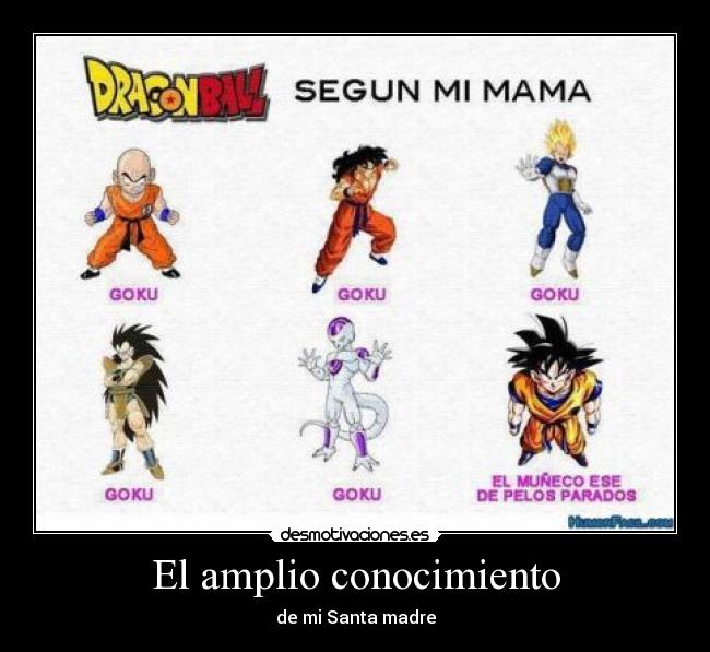 El amplio conocimiento - de mi Santa madre