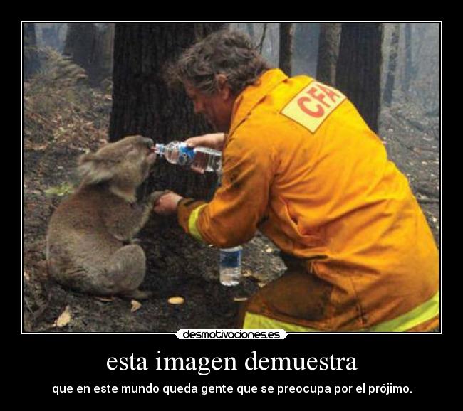 esta imagen demuestra -