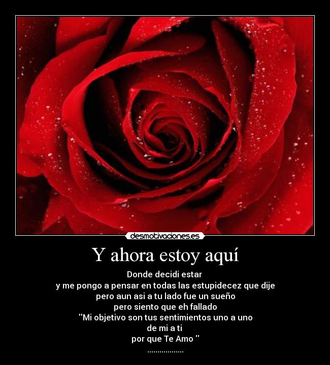 Y ahora estoy aquí - 