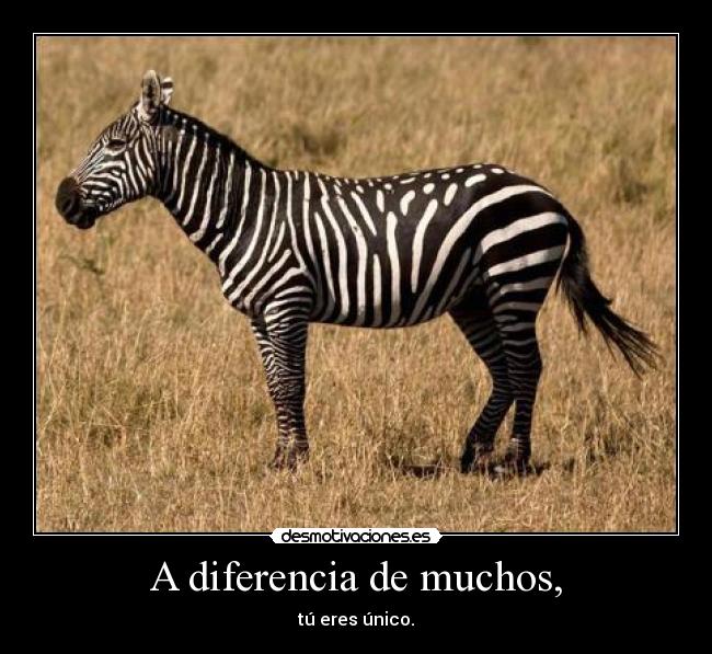 A diferencia de muchos, -