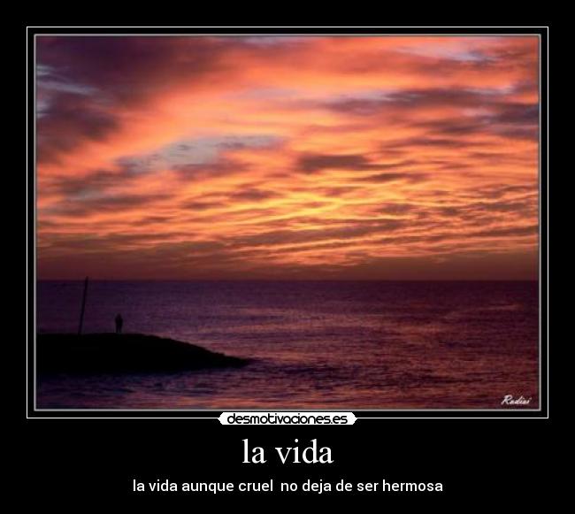 la vida - la vida aunque cruel  no deja de ser hermosa