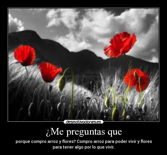 ¿Me preguntas que - porque compro arroz y flores? Compro arroz para poder vivir y flores
para tener algo por lo que vivir.