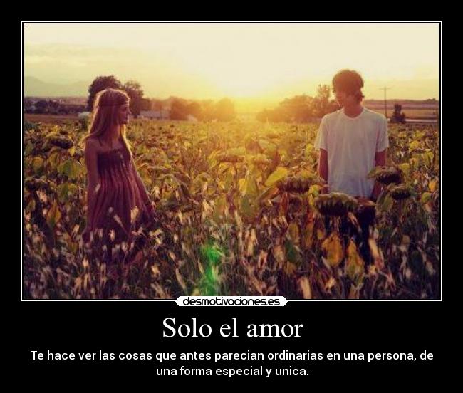 Solo el amor -