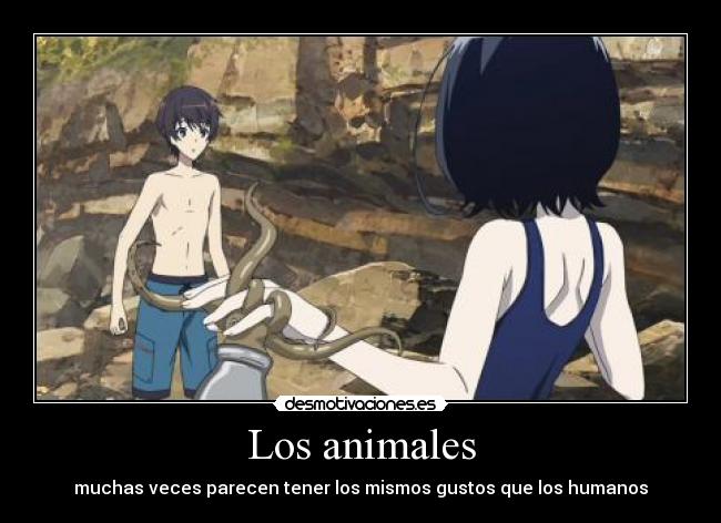 Los animales -