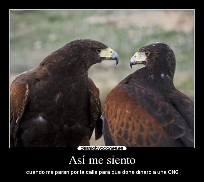 carteles malaquita desmotivaciones