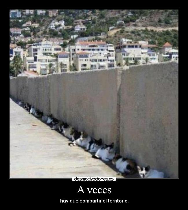 A veces - hay que compartir el territorio.